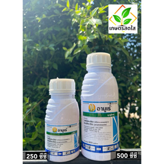 อามูเร่ (ไดฟีโคลนาโซล+โพรพิโคลนาโซล) 🛑 ป้องกันโรคเมล็ดด่าง ก…