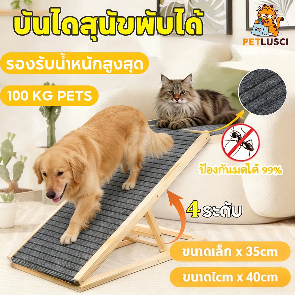 PETLUSCI บันไดสุนัข🐶บันไดสัตว์เลี้ยง พับได้ บันไดสุนัขขึ้นรถ กันลื่น ปรับความสูงได้ M/L บันไดทางลาด