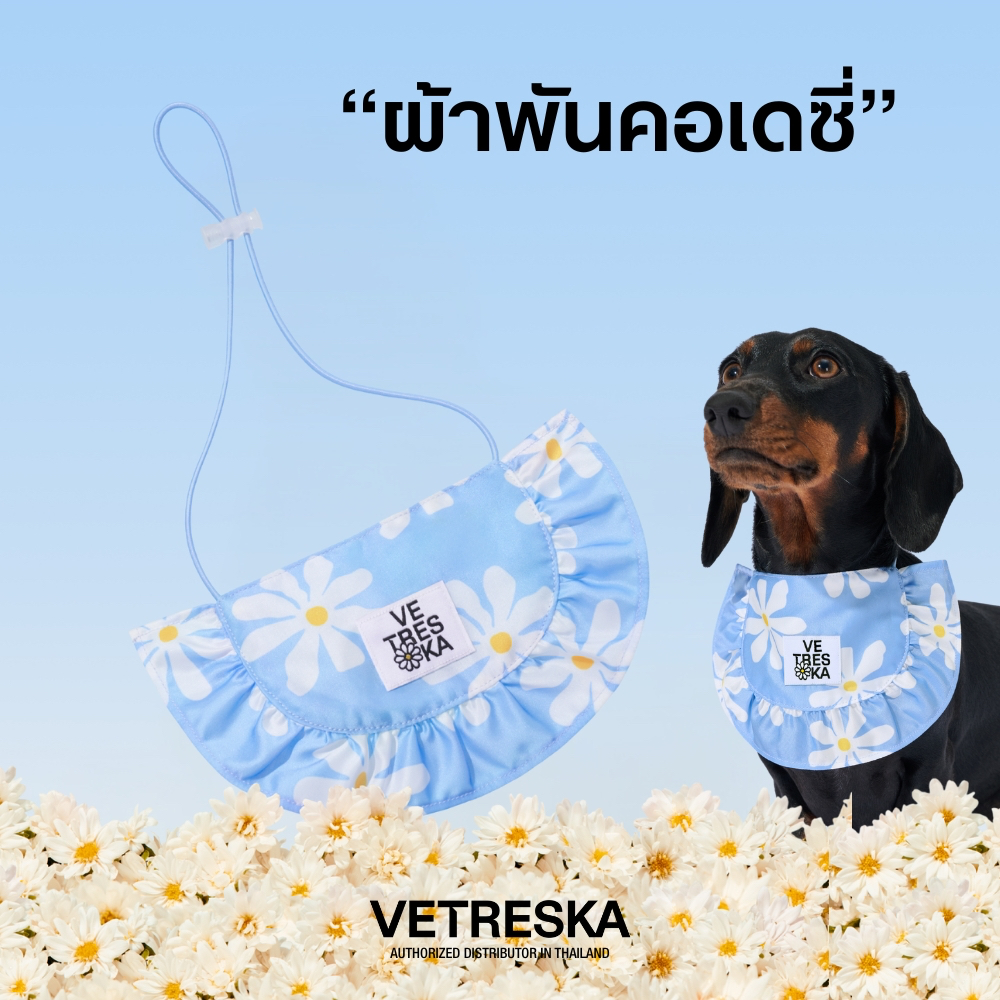VETRESKA คล่อร่า ดอกเดซี่ ผ้ากันเปื้อนสัตว์เลี้ยง  DAISY PET BIB