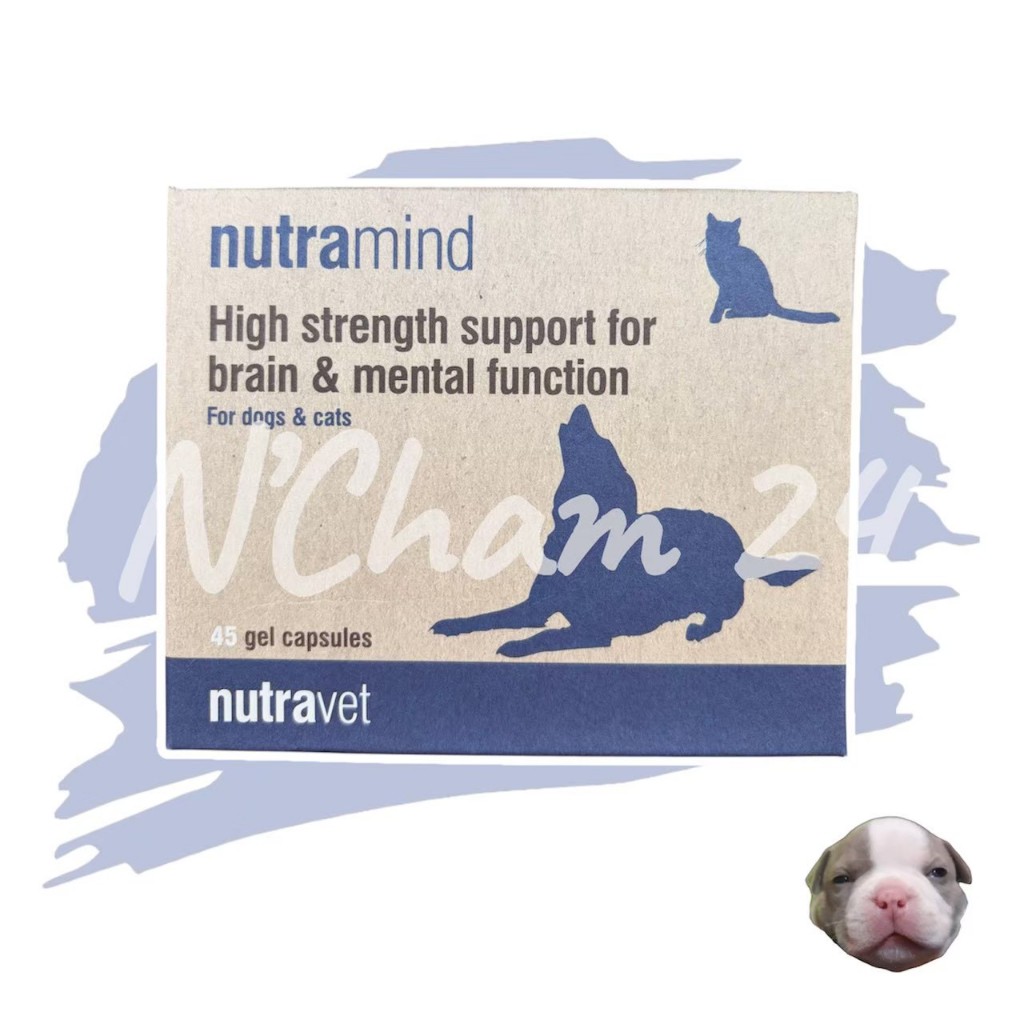 Nutravet Nutramind อาหารเสริมบำรุงสมองสุนัข บำรุงประสาทสุนัข อาหารเสริมบำรุงสมองแมว บำรุงประสาทแมว