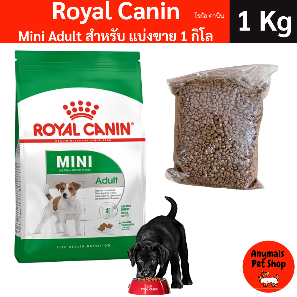 ( แบ่งขาย 1kg ) Royal canin Mini Adult สำหรับสุนัขโต พันธุ์เล็กอายุ 10 เดือน ถึง 8 ปี