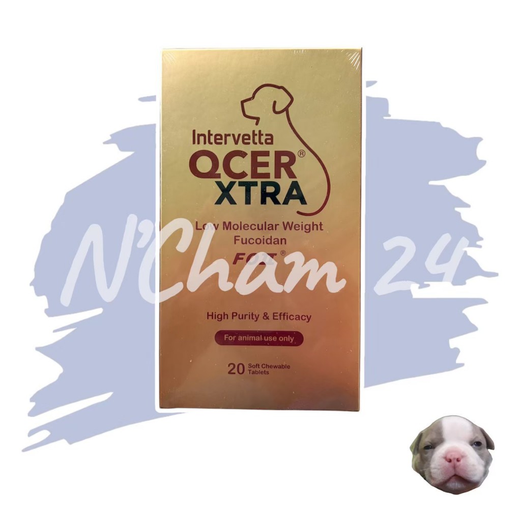 QCER XTRA บรรจุ 20 เม็ด สูตร Fucoidan 750 mg. เลขทะเบียนอาหารสัตว์ 01088680117