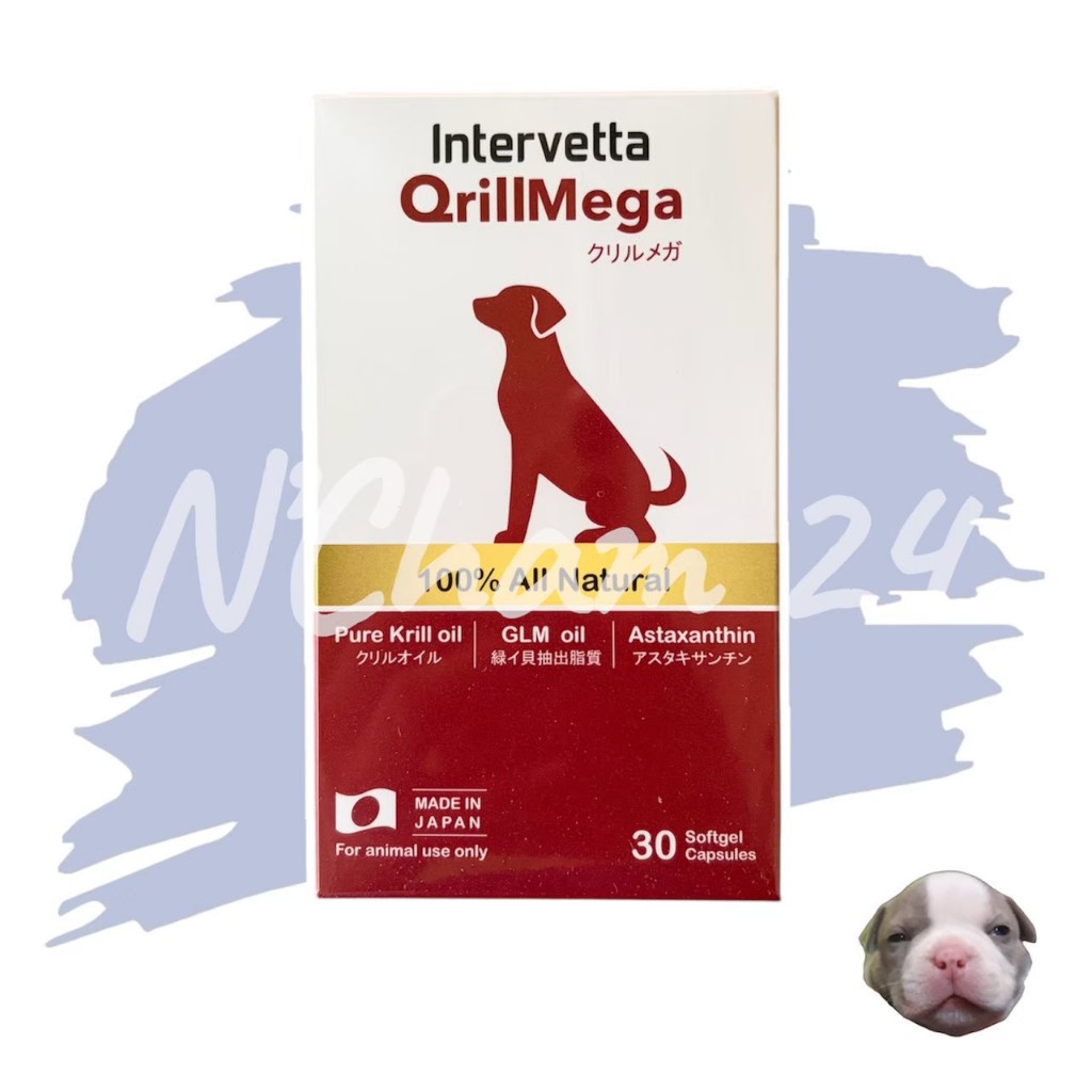 Qrill Mega อาหารเสริม บำรุงข้อสุนัข สุนัขข้ออักเสบ สุนัขปวดข้อ
