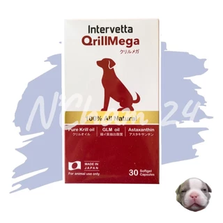 Qrill Mega อาหารเสริม บำรุงข้อสุนัข สุนัขข้ออักเสบ สุนัขปวดข้อ