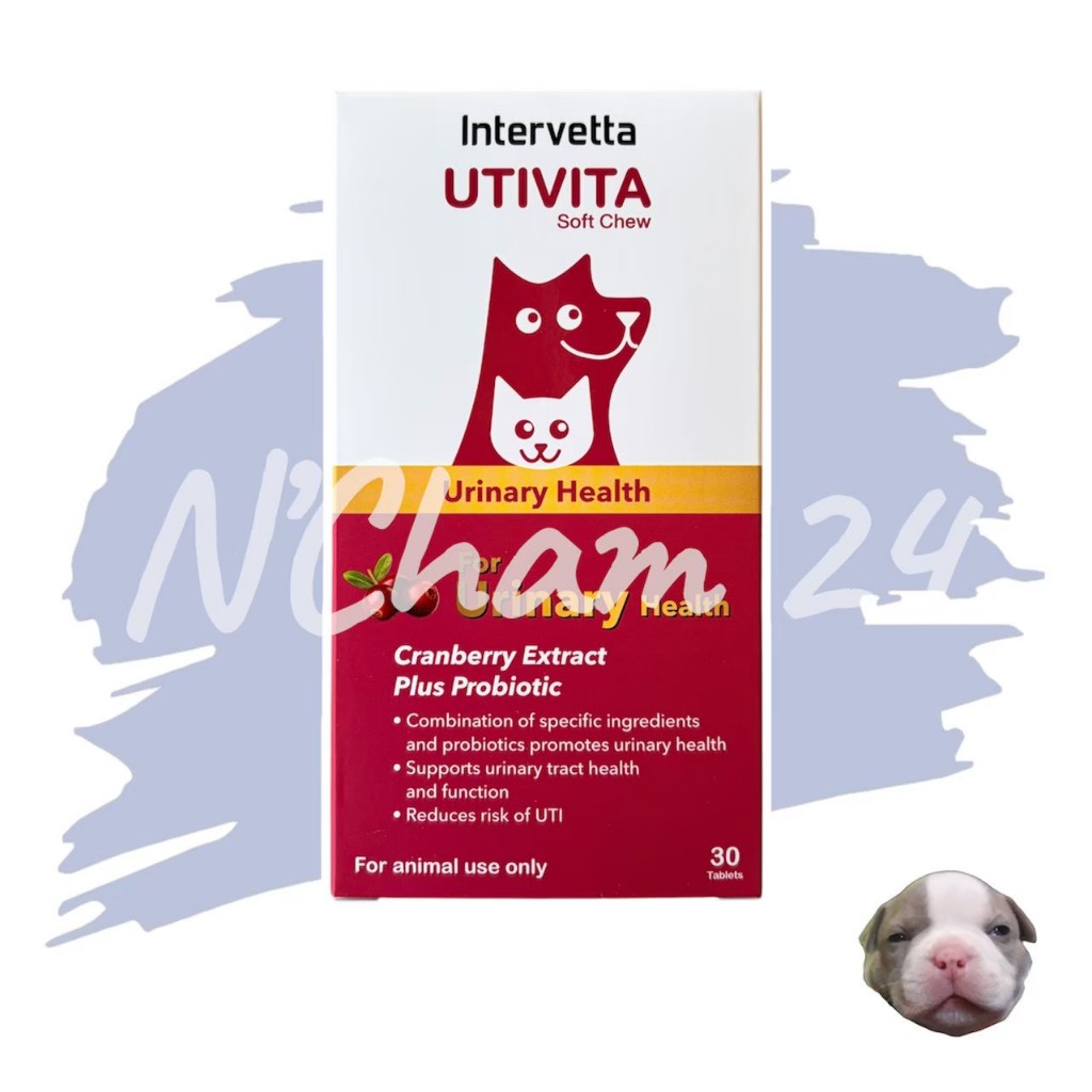 Intervetta UTIVITA Soft Chew exp.11/2026 วิตามินเสริมอาหารสำหรับระบบทางเดินปัสสาวะ นิ่ว สุนัขและแมว