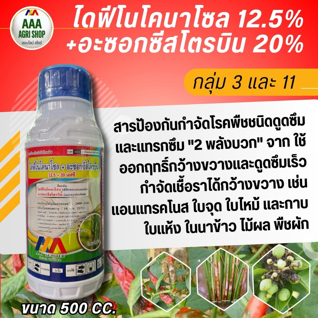 ไดฟิโนโคนาโซล + อะซอกซีสโตรบิน สารป้องกันกำจัดเชื้อรา โรคพืชชนิดดูดซึม เมล็ดด่าง กาบใบแห้ง ใบจุดสีน้ำตาล ใบไหม้ 500 cc.