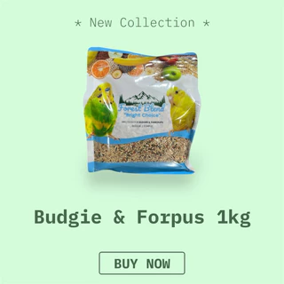 Forest Blend 1kg ธัญพืชสูตรพื้นฐาน สำหรับนกสายพันธุ์ต่างๆ