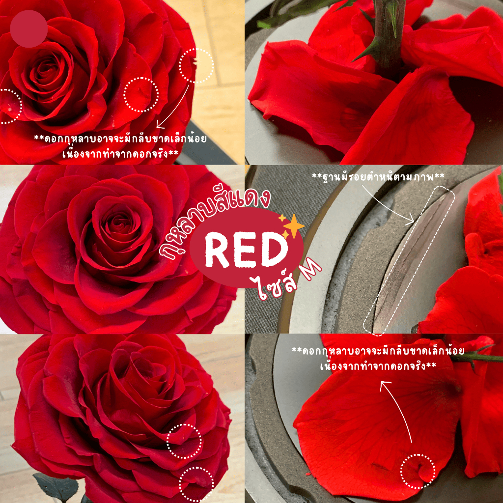 (ส่งด่วน) เคลียร์สต็อค กุหลาบอมตะในโหลแก้ว ลดพิเศษสุดๆ Preserved Rose ทำจากกุหลาบจริง ฟรี กล่องโบว์ถุง ครบเซ็ต - รูปที่ 4