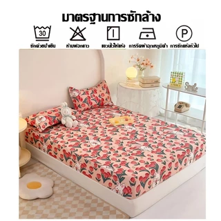 ชุดผ้าปูที่นอน 3 ชิ้น เนื้อผ้านุ่มสบาย สีสวย ไม่ตกสี มที่นอน 360° ไม่เลื่อนหลุด[ส่งจากกรุงเทพฯ]