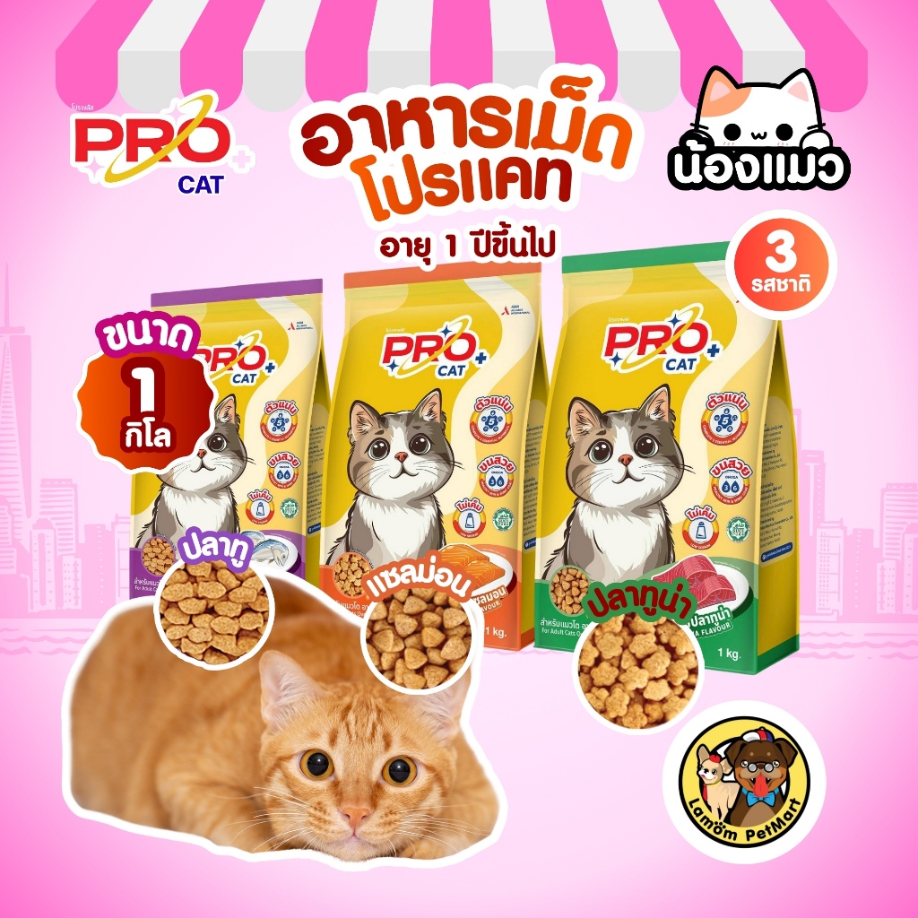 (ถุง 1 KG.) อาหารเม็ดแมว PRO CAT โปรตีน 26% ตัวแน่น ขนสวย ไม่เค็ม