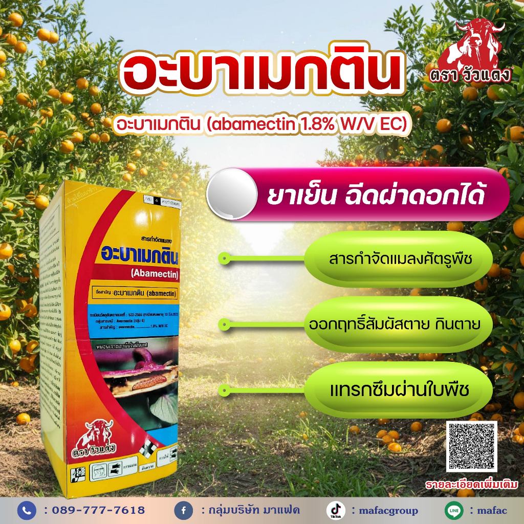 อะบาเมกติน 1.8% 1 ลิตร - สารกำจัดแมลงยาเย็นฉีดผ่าดอกได้ออกฤทธิ์สัมผัสแบบถูกตัวตายและกินตาย