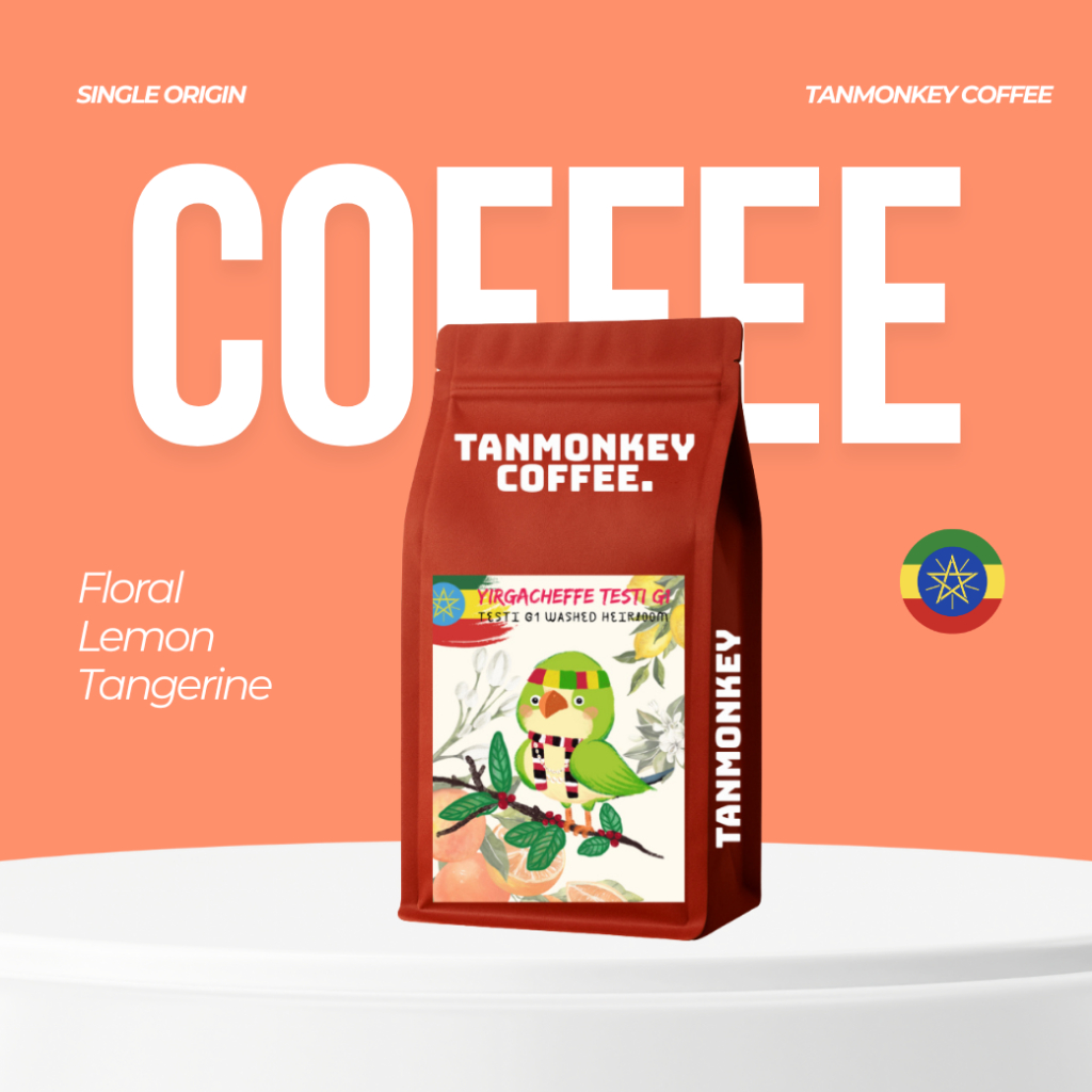 Tanmonkey เมล็ดกาแฟคั่ว Ethiopia Yirgacheffe Testi G1 washed Heirloom