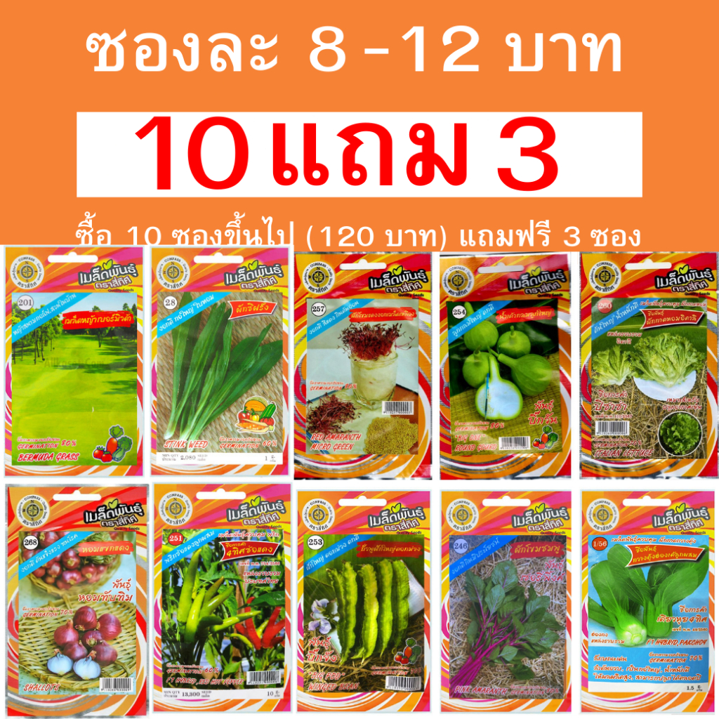 เมล็ดพันธุ์ผักสวนครัวสี่ทิศ เซ็ท 2 ซองละ 12 บาท ซื้อ 10 ซองขึ้นไป (120 บาท) แถมฟรี 3 ซอง