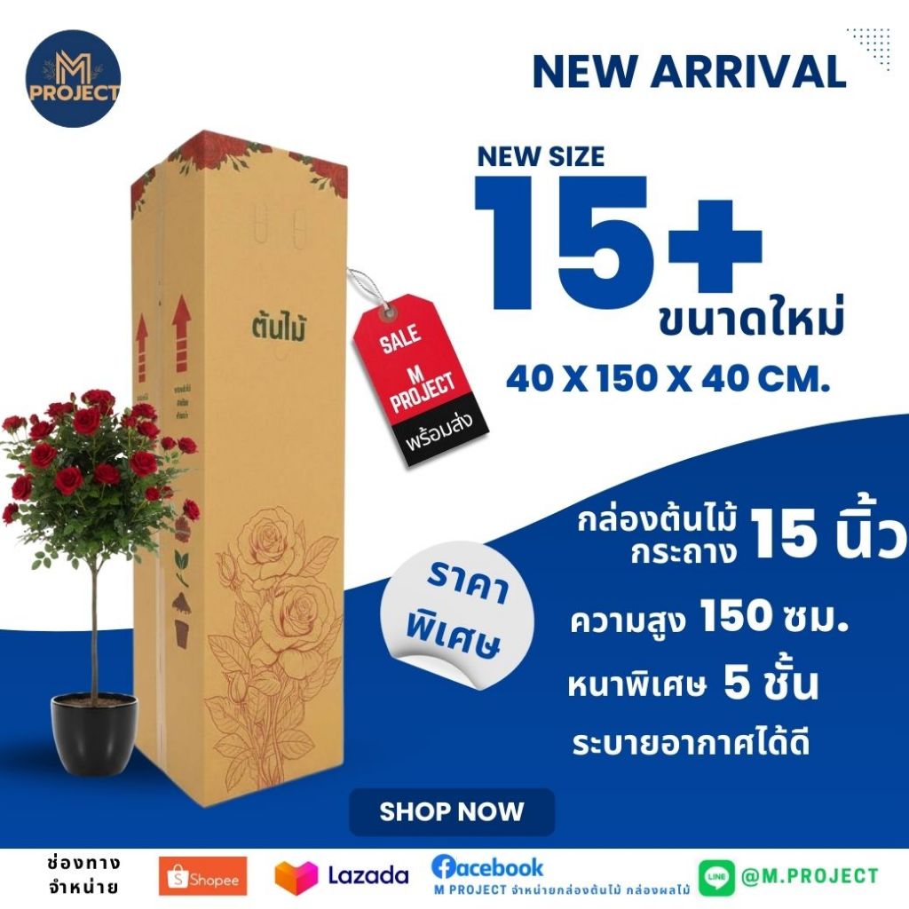 กล่องต้นไม้ 15+ ( สำหรับกระถาง 15 นิ้ว ) แพ็ค 10 ใบ พร้อมส่งทุกวัน สินค้าใหม่ !