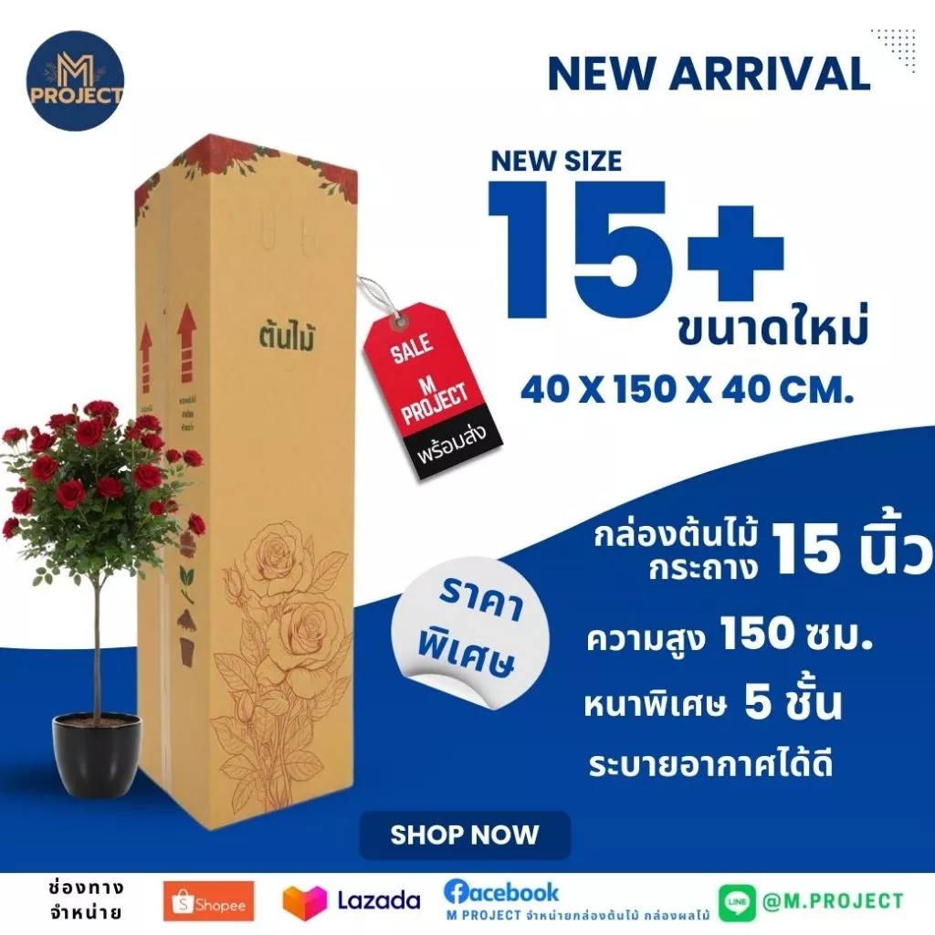 กล่องต้นไม้ 15+ ( สำหรับกระถาง 15 นิ้ว ) แพ็ค 10 ใบ พร้อมส่งทุกวัน สินค้าใหม่ !