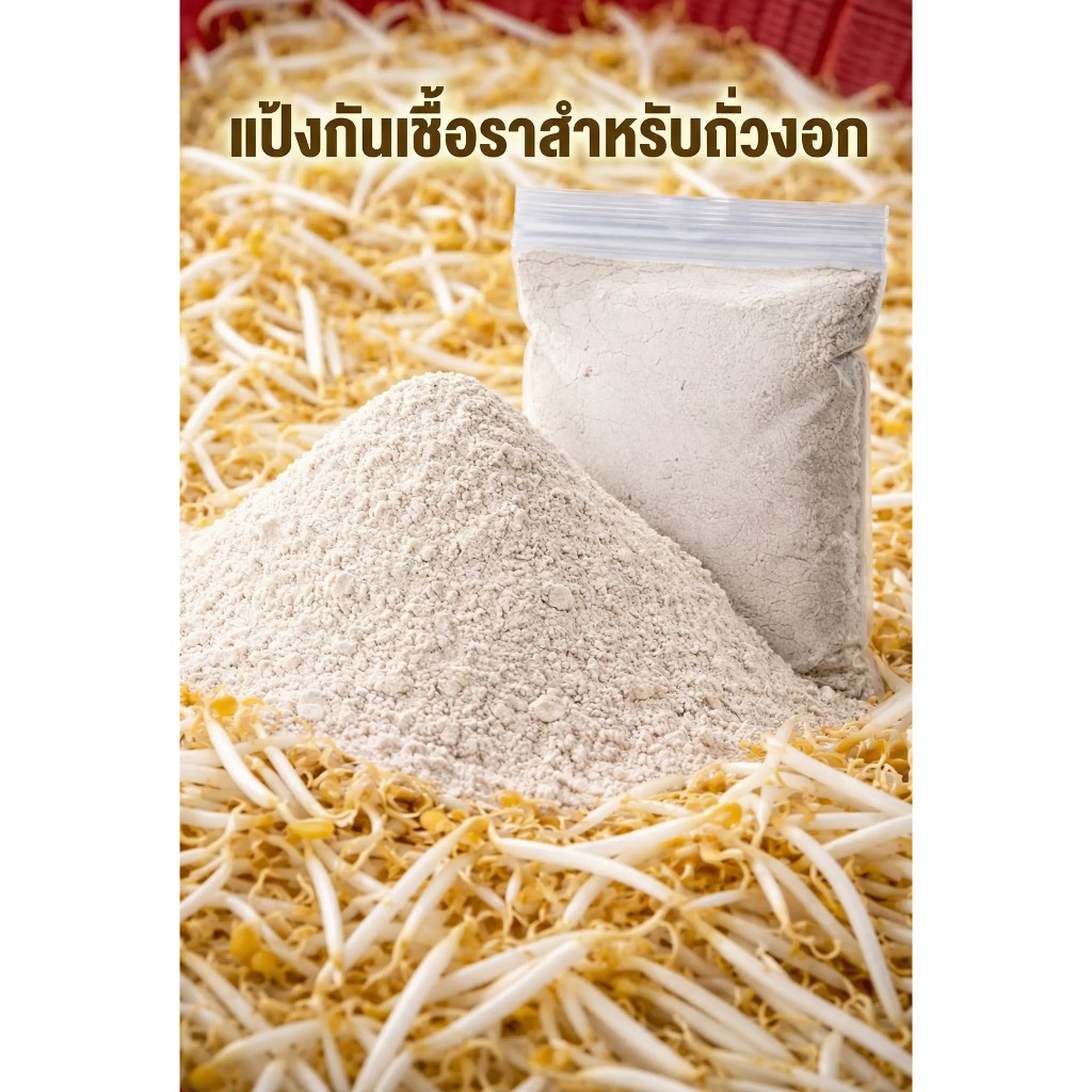 แป้งกันเชื้อราสำหรับแช่เมล็ดถั่วงอก