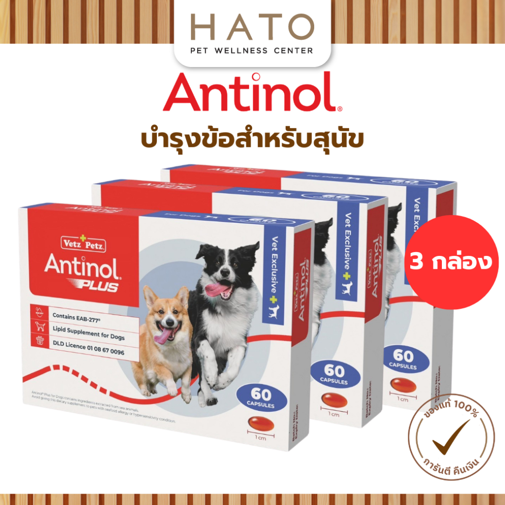 Antinol Dog แอนทินอล อาหารเสริมไขมัน บำรุงข้อ สำหรับสุนัข 3 กล่อง (180 เม็ด) Vetz Petz