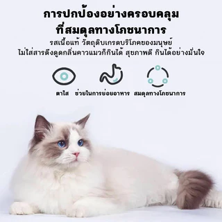 50 ขนมแมว ไก่ทูน่าค็อด 5 รส 15g กินได้ทั้งแมวโตและลูกแมวอาหารแมว​ รสชาติอร่อยถูกใจน้องแมว