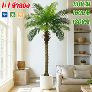 【สั่งแล้วฟรีกระถางดอกไม้】ต้นมะพร้าว เหมือนจริง 99% ต้นไม้ประ…