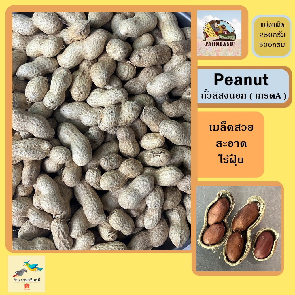 ถั่วลิสง  Peanut ( แบ่งแพ็ค 250กรัม / 500กรัม ) ถั่วลิสงนอก Farmland เมล็ดสวย สะอาด