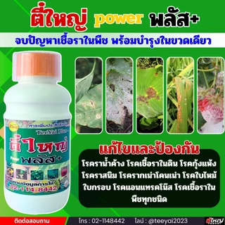 ตี๋ใหญ่พาวเวอร์พลัส ป้องกันและแก้ไขโรคเชื้อราทุกชนิด สารเสริมประสิทธิภาพ(น้ำดำ) ขนาด500cc / 1000cc
