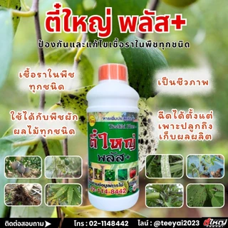 ตี๋ใหญ่พาวเวอร์พลัส ป้องกันและแก้ไขโรคเชื้อราทุกชนิด สารเสริมประสิทธิภาพ(น้ำดำ) ขนาด500cc / 1000cc