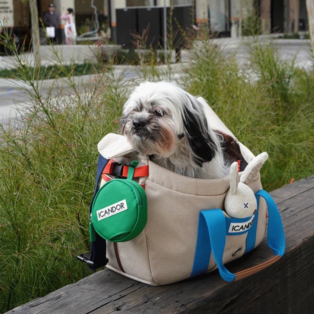 VELKYBARK [พร้อมส่ง] iCANDOR 🇰🇷 Peek-a-boo Bag กระเป๋าสัตว์เลี้ยง กระเป๋าสุนัข กระเป๋าแมว ครอสบอดี้ รูปที่ 7