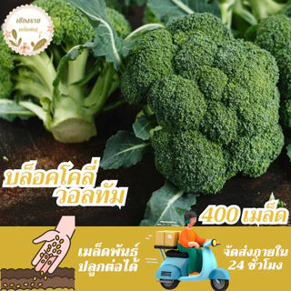 เมล็ดพันธุ์ บล็อคโคลี่วอลทัม 70 เมล็ด Waltham29 Broccoli เมล็ดพันธุ์แท้ นำเข้าจากต่างประเทศ ปลูกผัก สวนครัว ถูกดี