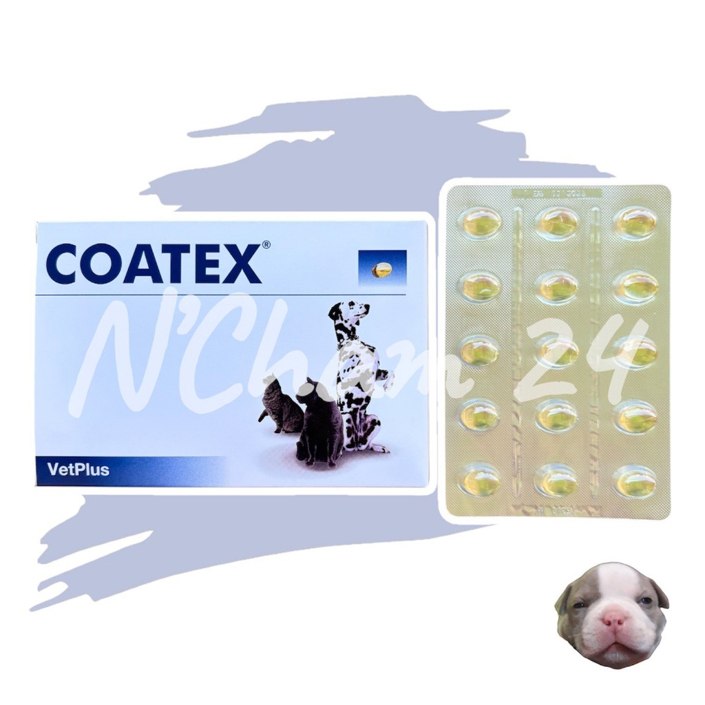 Coatex แบ่งขาย 15 caps (หมดอายุ01/2027) อาหารเสริม บำรุงขนและผิว แบบเม็ด สำหรับสุนัข