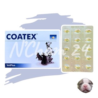 Coatex แบ่งขาย 15 caps (หมดอายุ02/2027) อาหารเสริม บำรุงขนและผิว แบบเม็ด สำหรับสุนัข