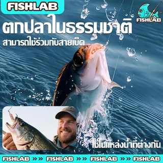 เบ็ดกล่อง แบบกล่องบรรจุ แบบมีห่วง ตัวเบ็ดคม ก้านเบ็ดแข็ง ไม่ขึ้นสนิมง่าย 13 ข้อกำหนดให้เลือก