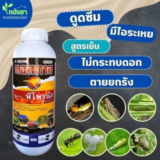 แอสกาส 1L ฟิโพรนิล5%SC ยากำจัดแมลง คุณภาพสูง หนอน เพลี้ย แมลงบิน ปลวก มด ตายยกรัง