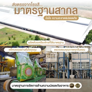 ดอกบัวรวงข้าว - ดอกบัวเขียว ข้าวเสาไห้ ข้าวขาวบ่ม 12 เดือน (ข้าวนาปรัง) หุงร่วนฟู บูดยาก (40 กก.)