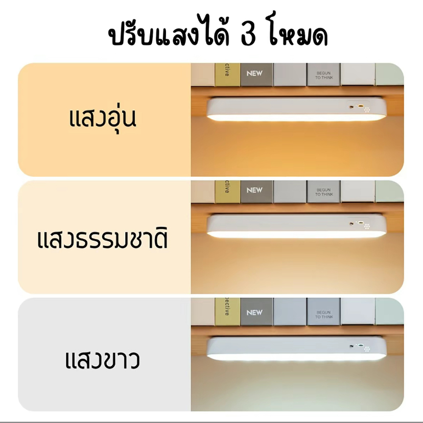 รูปภาพ 7