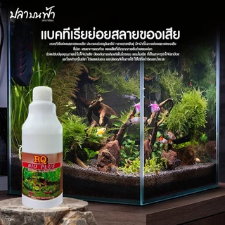 (ขวดใหญ่) RQ ลดคลอลีน RQ กำจัดตระไคร่ RQ Bio plus และ MS ROYAL POWER CLEAN ขนาด 1000 cc และ 1200 cc