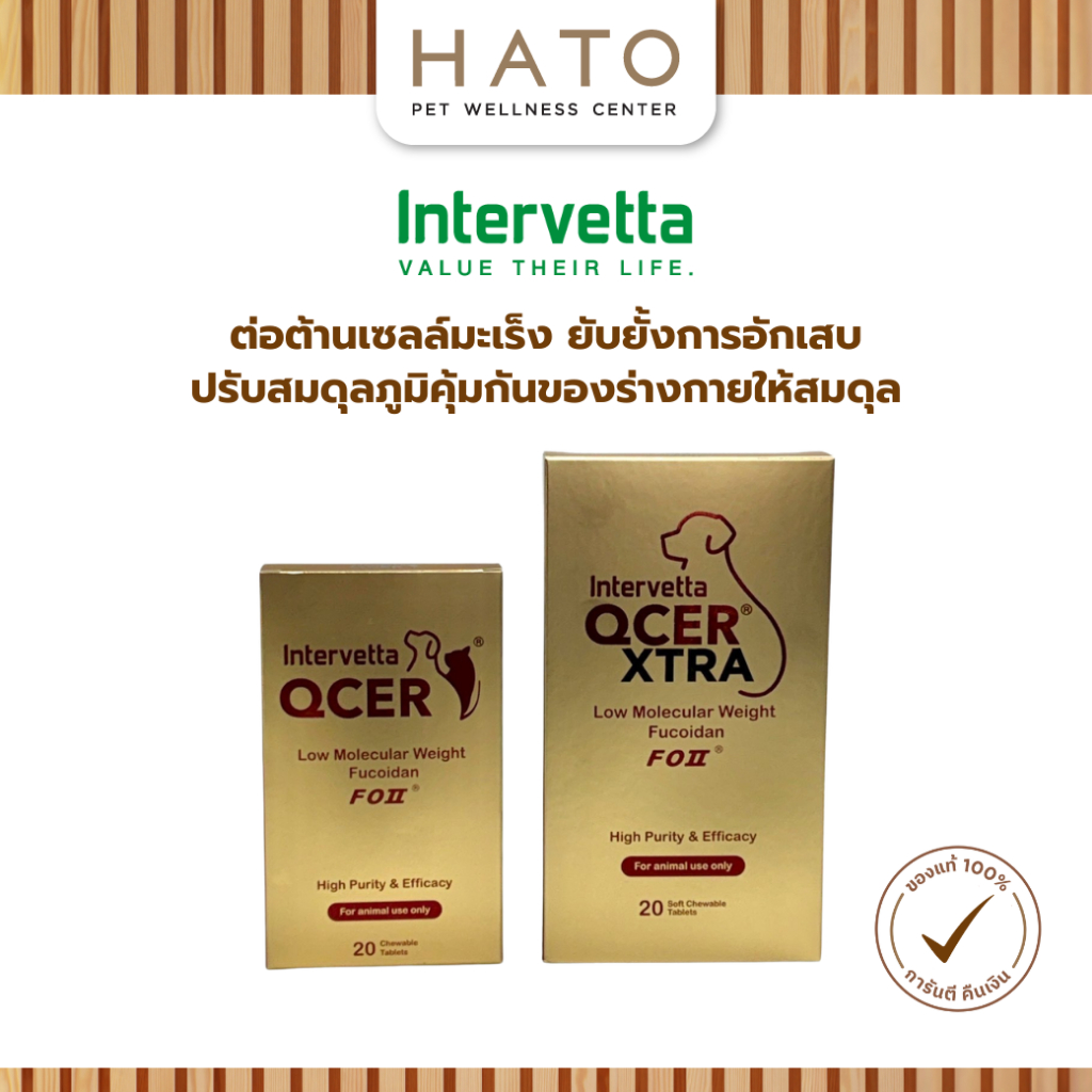 Intervetta QCER ผลิตภัณฑ์ต่อต้านมะเร็งและเสริมภูมิคุ้มกันร่างกายให้สมดุลย์สุนัขและแมว(วอส.0108630004)