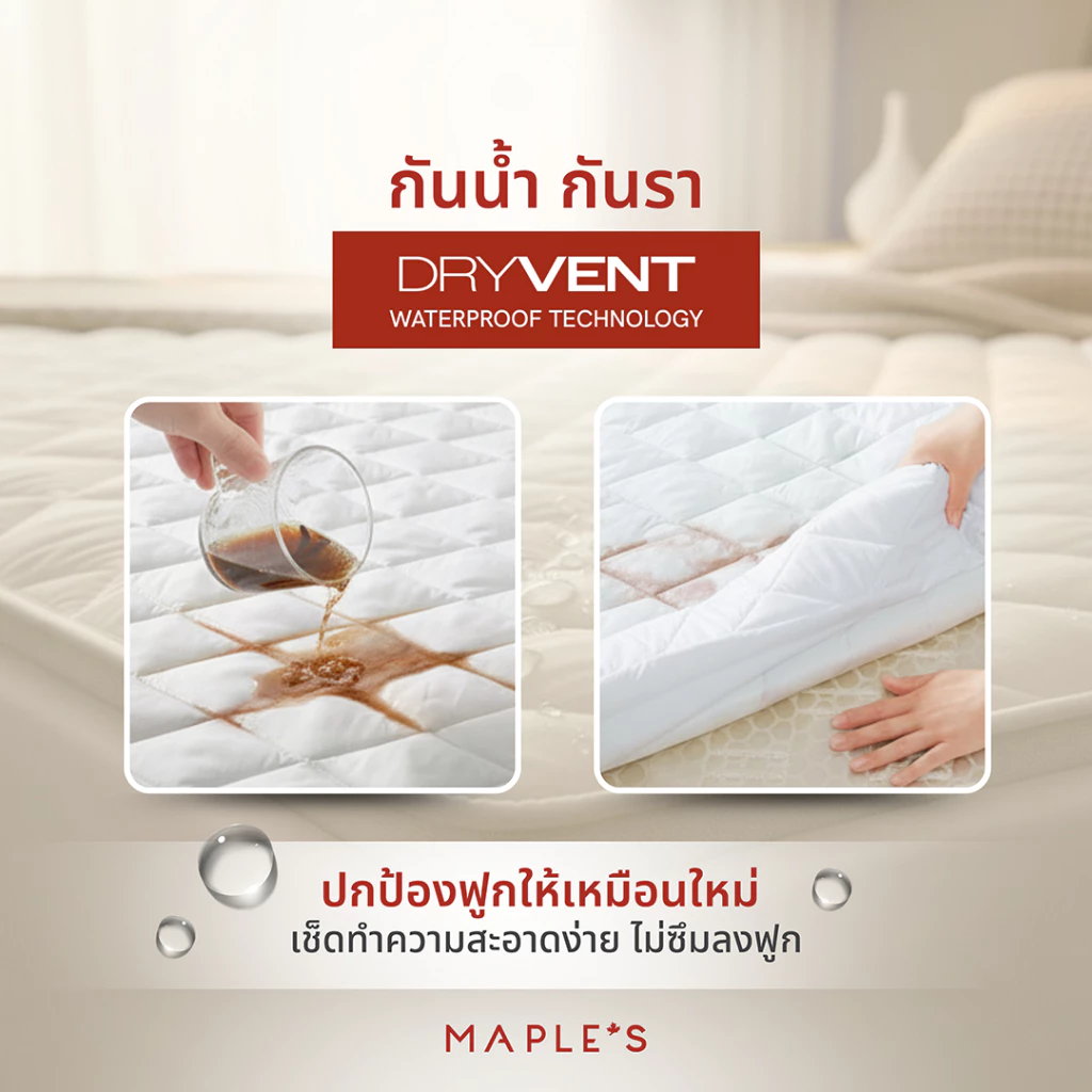 MAPLE S ผ้ารองกันเปื้อนรัดมุม กันน้ำกันรา Mattress Protector thumbnail 3