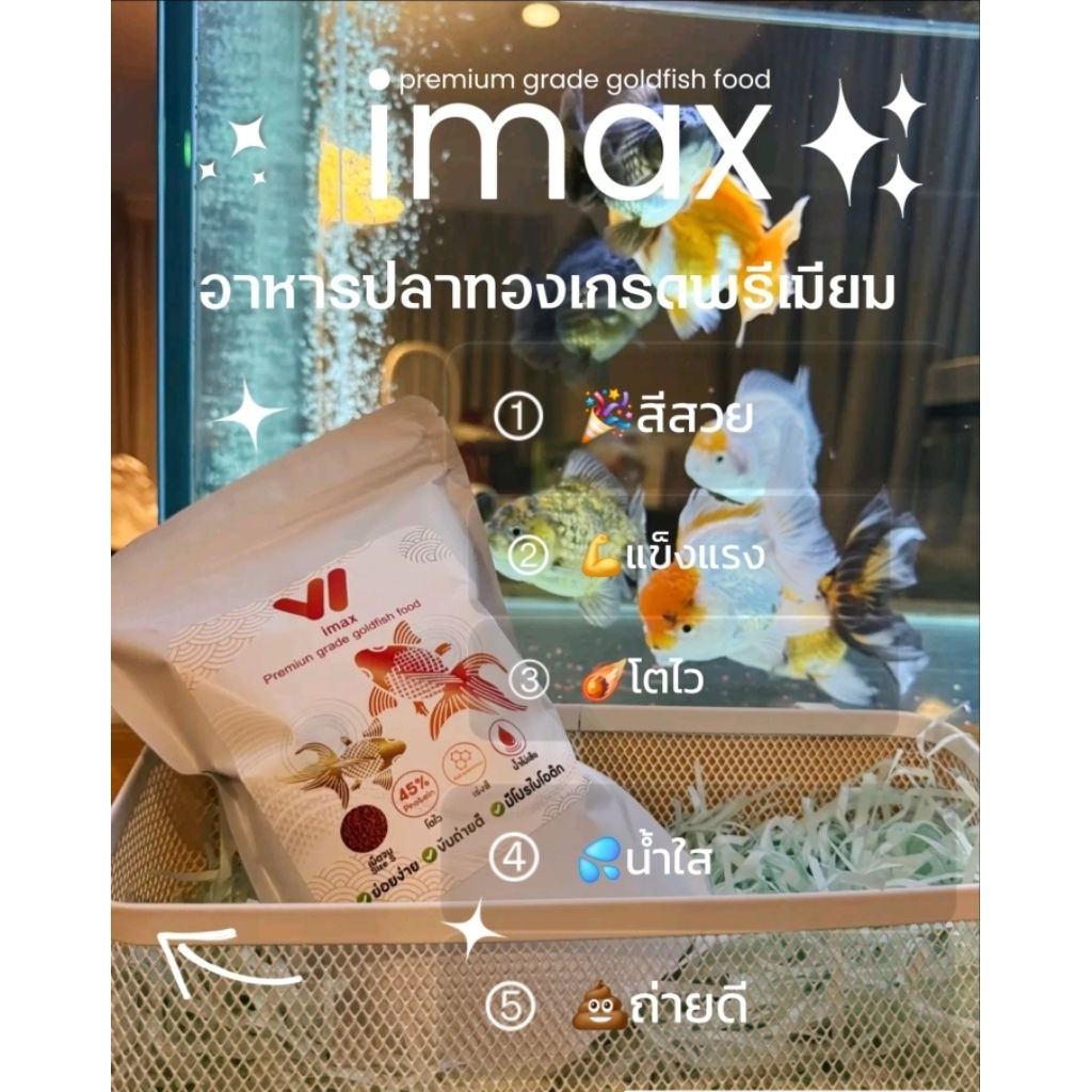 🐡imax อาหารปลาทองเกรดพรีเมี่ยม แบบเม็ดจม 🐠โปรตีน 45% 🐟Astaxanthin เร่งสีรวม 10%🐡โปรไบโอติกขับถ่ายดี🐠น้ำไม่เสีย