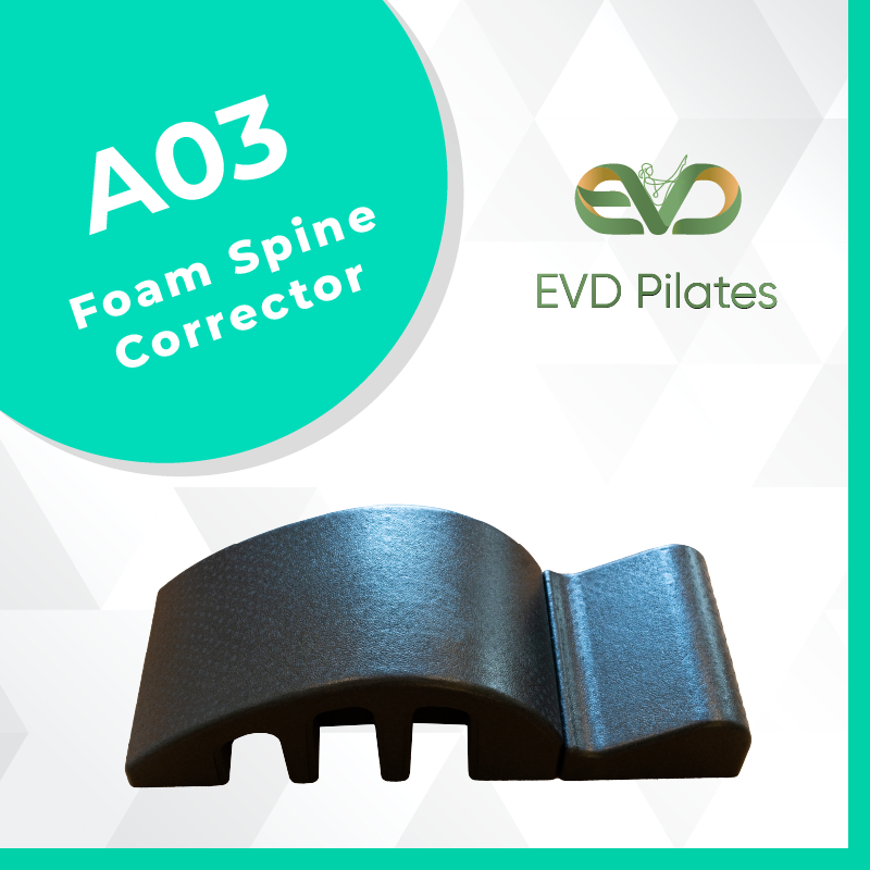 Foam   spine    corrector