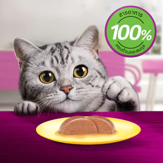 whiskas วิสกัส อาหารเปียกแมวรวมรส 1 กล่อง 12 ซอง ขนาด 80 กรัม