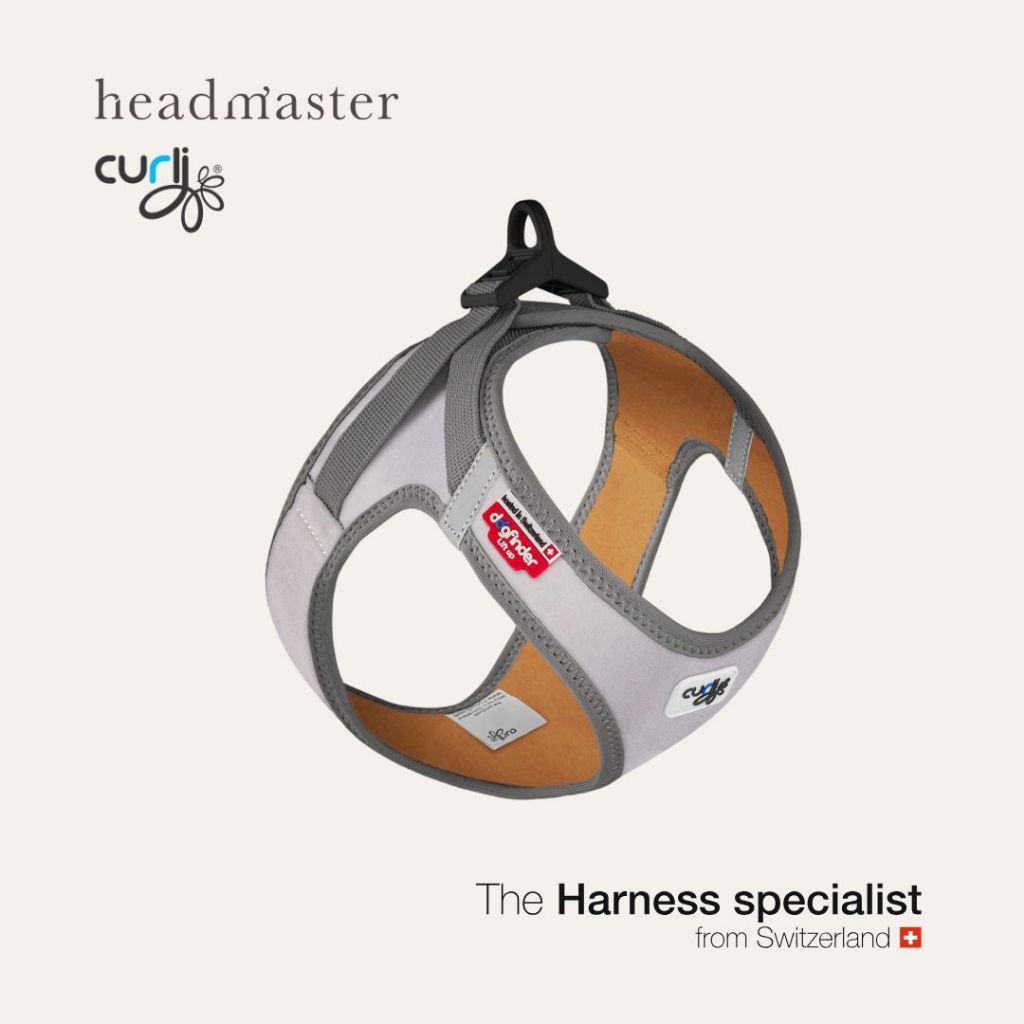 curli Glow Clasp Vest Harness สายรัดอกแบบเสื้อรุ่นสะท้อนแสง สำหรับสุนัขและแมว