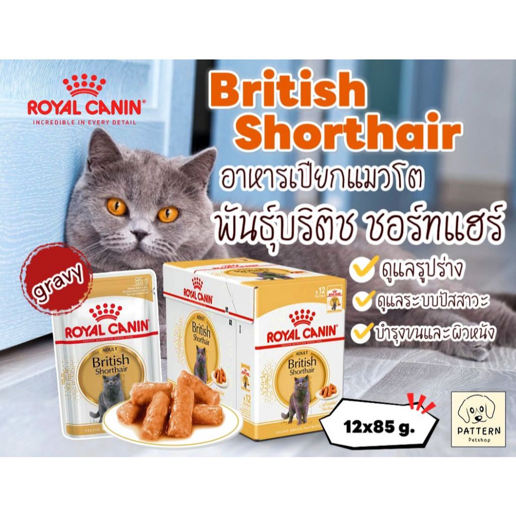 Royal Canin British Shorthair Gravy อาหารเปียกสำหรับแมวโตพันธุ์บริติช ชอร์ทแฮร์ (ยกกล่อง 12 ซอง)