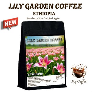 เมล็ดกาแฟคั่ว เมล็ดกาแฟเกรดA กาแฟเอธิโอเปีย 71 LILY GARDEN C…