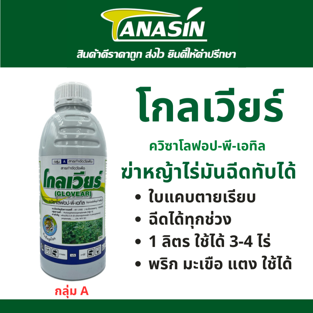 โกลเวียร์ ควิซาโลฟอป กำจัดวัชพืชใบแคบ ฉีดทับมันได้ สวนพริก สวนแตง แปลงผัก ใช้ได้