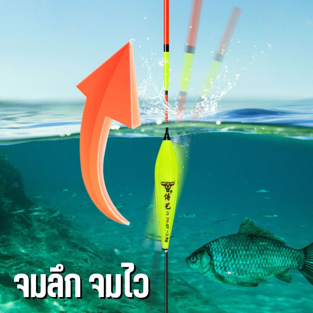 ทุ่นตกปลา ตกสปิ๋ว ชิงหลิว ไม้บาลาซ์นเเอ็คชั่นดี 3-5ดอก คละเบอร์พร้อมที่เสียบทุ่น ออกตัวไว ปลายอ่อน พร้อมส่ง ราคา ถูกที่สุด ดีลบีเคเค แกลเลอรีภาพที่ 5