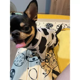 ชุดเก็บขน wonder dog เสื้อสุนัข เสื้อแมว ชุดกันขนร่วงสุนัข ชุดสัตว์เลี้ยง โทนลายสัตว์