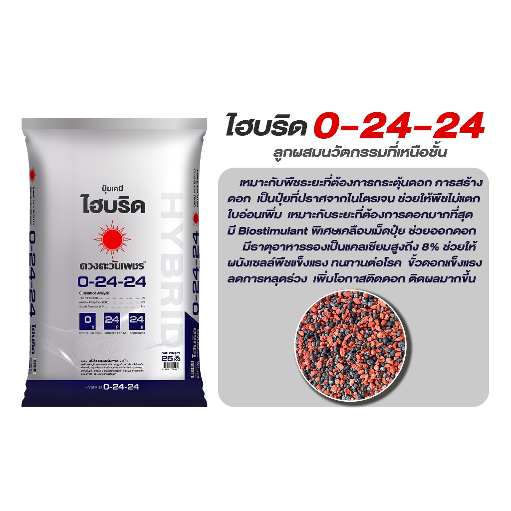 ปุ๋ยไฮบริด 0-24-24 ดวงตะวันเพชร ปุ๋ยกดใบสั่งดอก เปิดตาดอกทุเรียน มะนาว เลม่อน ลดการแตกใบอ่อน สร้างดา