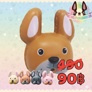 🎉จัดส่งจากไทย 🚚สกุชชี่เฟรนมาการอง ของชวา มีทั้งหมด 4 สี เนื้…