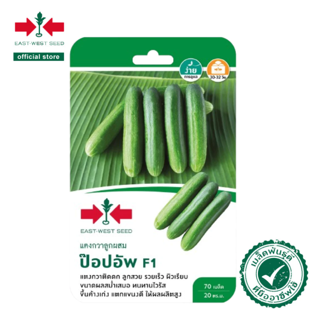 ศรแดง เมล็ดพันธุ์แตงกวาลูกผสม ป๊อปอัพ F1 (เมล็ดเคลือบ) (East-West Seed) เมล็ดพันธุ์ ผักสวนครัว ตราศรแดง