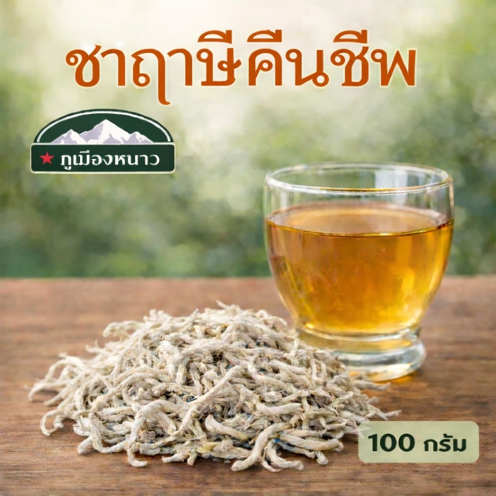 ชาฤาษี ฤาษีคืนชีพ ยอดชาสมุนไพร บำรุงไต.. บำรุงประสาท 100 กรัม